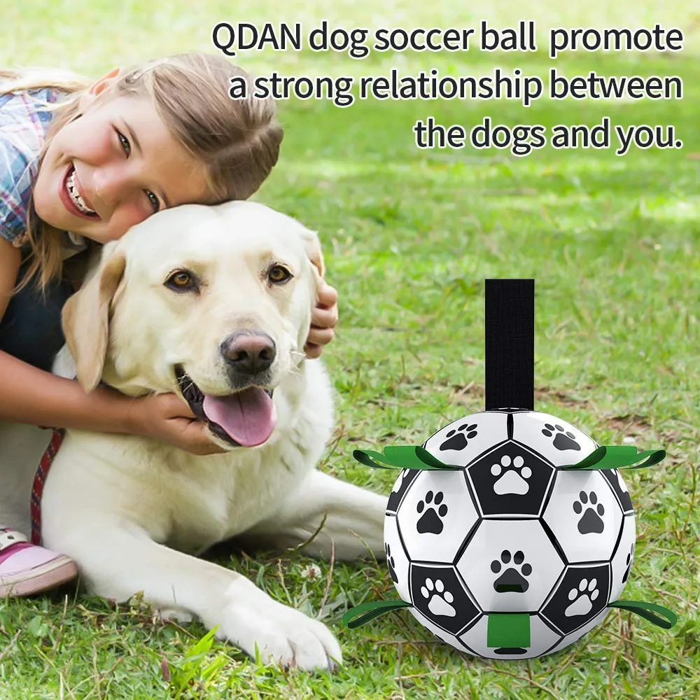 Interactive Soccer Ball for Dogs