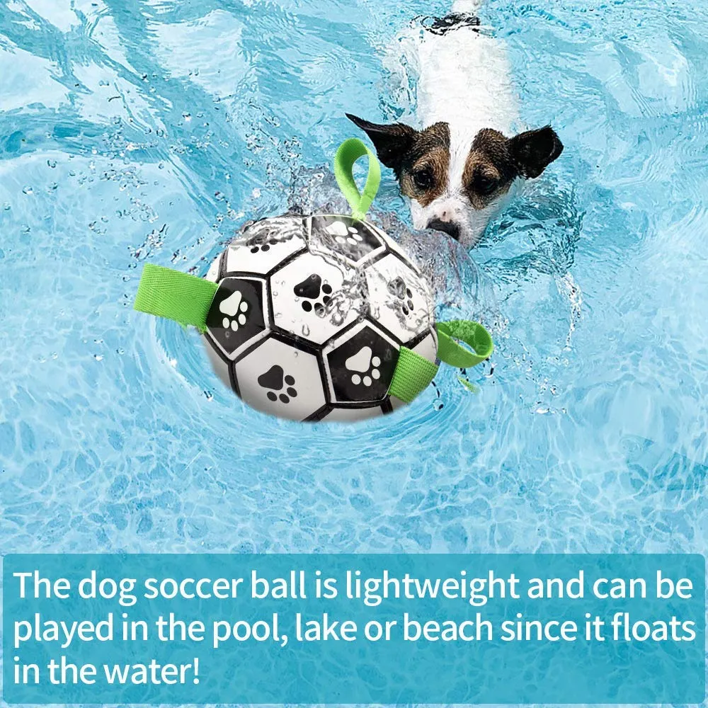 Interactive Soccer Ball for Dogs